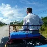 Ein Mann in gemustertem Hemd und Jeans fährt mit einer blauen Pferdekutsche eine Landstraße entlang – perfekt für Fernreisen mit Kindern. Die Kutsche besticht durch ein rotes Metallgestell mit dekorativen Spiralen. Grüne Vegetation säumt die Straße, und vereinzelte Wolken zieren den blauen Himmel, während ein Pferd die Kutsche anführt.