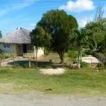 Eine ländliche Szene zeigt ein kleines Haus mit Strohdach, umgeben von Grün. Davor steht ein Baum, Büsche säumen den Weg. Eine Ziege grast in der Nähe des Zauns. Links hängt Kleidung auf einer Leine, darüber ein strahlend blauer Himmel mit vereinzelten Wolken.