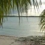 Blick auf einen ruhigen Strand mit ruhigem Wasser unter bewölktem Himmel. Im Vordergrund hängen Palmwedel herab und rahmen die Szene ein. Der sandige Strand geht in felsiges Gebiet nahe dem Wasser über. Der Horizont ist im bedeckten Licht schwach sichtbar und schafft eine ruhige Atmosphäre.
