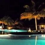 Eine Nahaufnahme einer Katze.