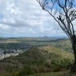 Genießen Sie einen Familienausflug auf einen Hügel mit malerischem Blick auf eine weitläufige Stadt mit bunten Dächern. Ein blattloser Baum ragt markant im Vordergrund hervor, während sich sanfte Hügel und Berge in der Ferne unter einem teilweise bewölkten blauen Himmel erstrecken und eine friedliche, familienfreundliche Landschaft bilden.