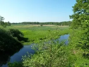 Spreewald mit Kindern