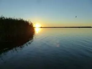 Eine ruhige Seelandschaft bei Sonnenuntergang mit einer leuchtenden Sonne am Horizont bietet eine malerische Kulisse für einen Familienausflug. Hohes Schilf schwankt links, und ein Vogel fliegt über dem ruhigen Wasser, in dem sich der Abendhimmel spiegelt – perfekt, um ihn mit Ihren Lieben zu teilen.