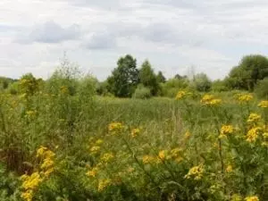 Blumberger Mühle mit Kindern