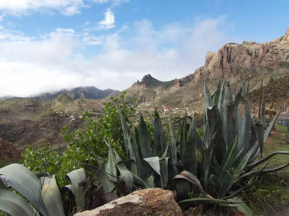 gran-canaria-mit-kindern-wandern-berge