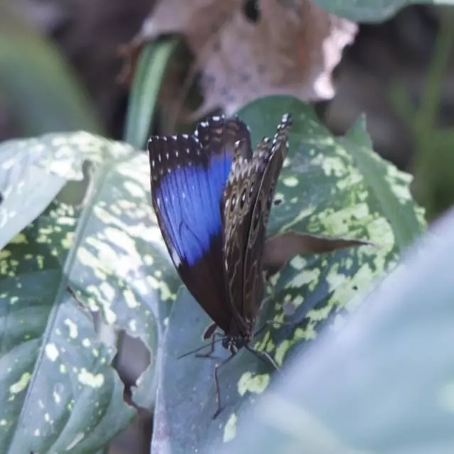 Costa Rica mit Kindern individuell - Hotels Hacienda Baru