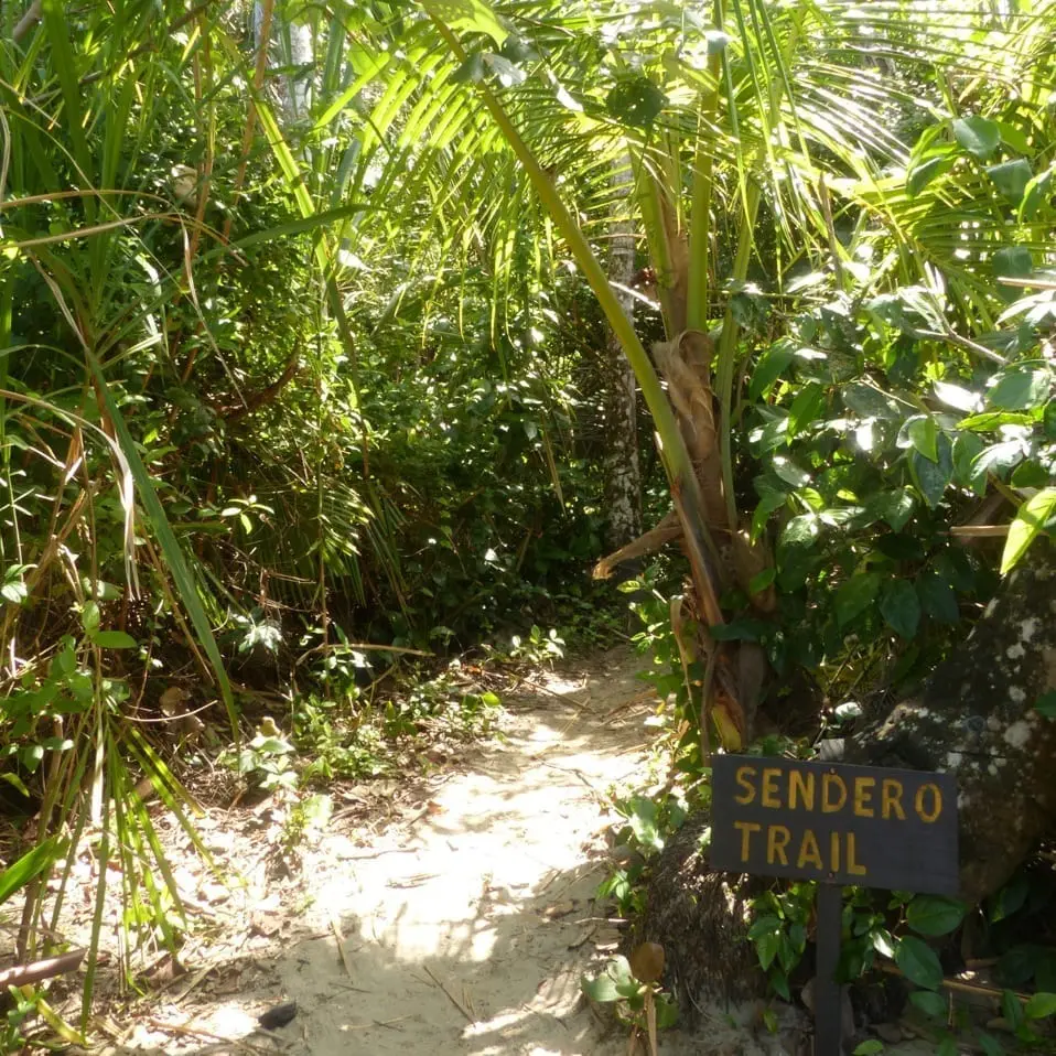 Costa Rica Cahuita Nationalpark Wanderweg Trail