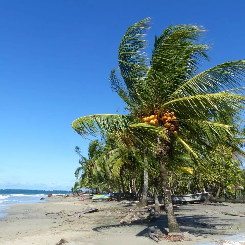 Costa Rica mit Kindern individuell - Hotels Karibik Strände