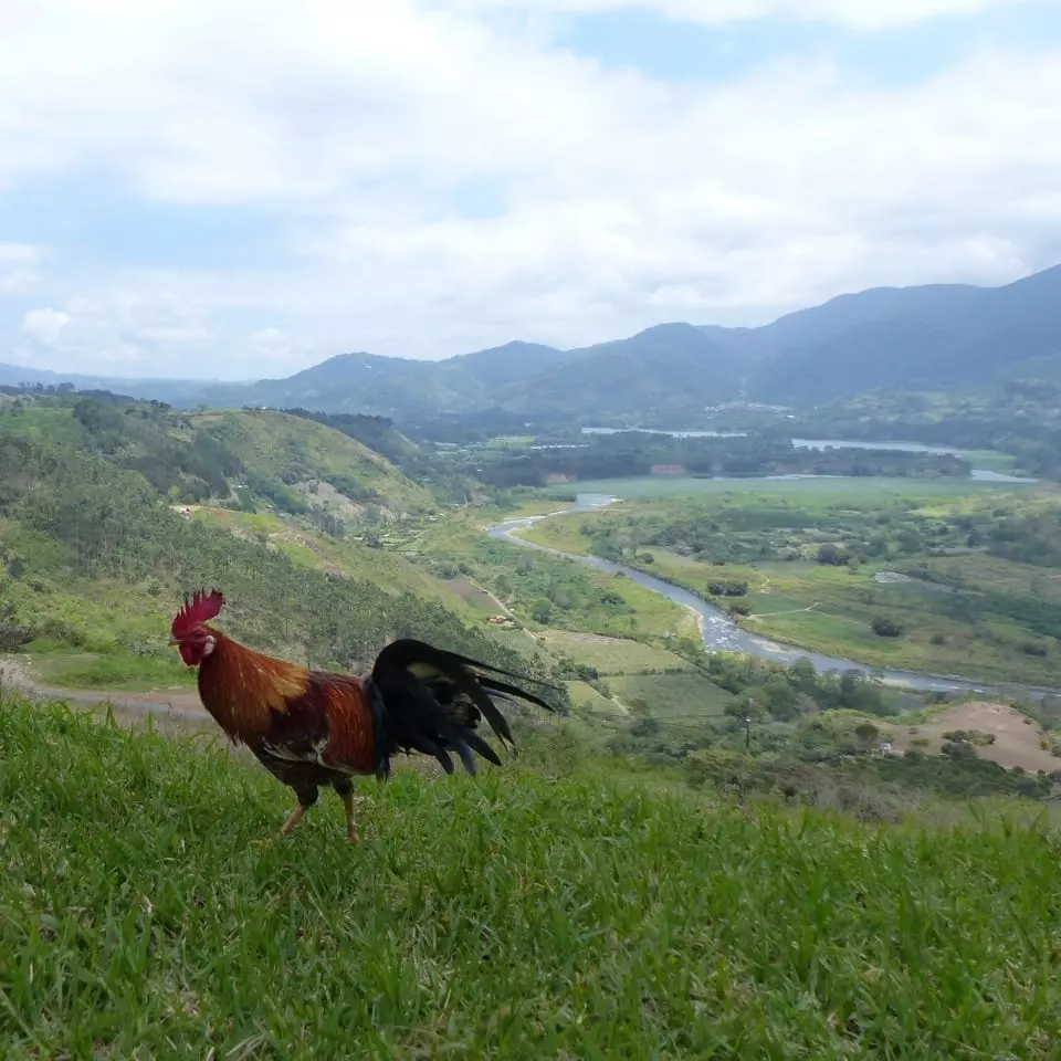 Costa Rica mit Kindern individuell - Mirador Orosi