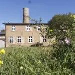 Im Hintergrund steht ein Backsteingebäude mit großen Fenstern und zwei hohen Schornsteinen. Im Vordergrund lädt ein üppiges Feld mit gelben und rosa Wildblumen dazu ein, sich einen Familienausflug unter dem klaren blauen Himmel vorzustellen.