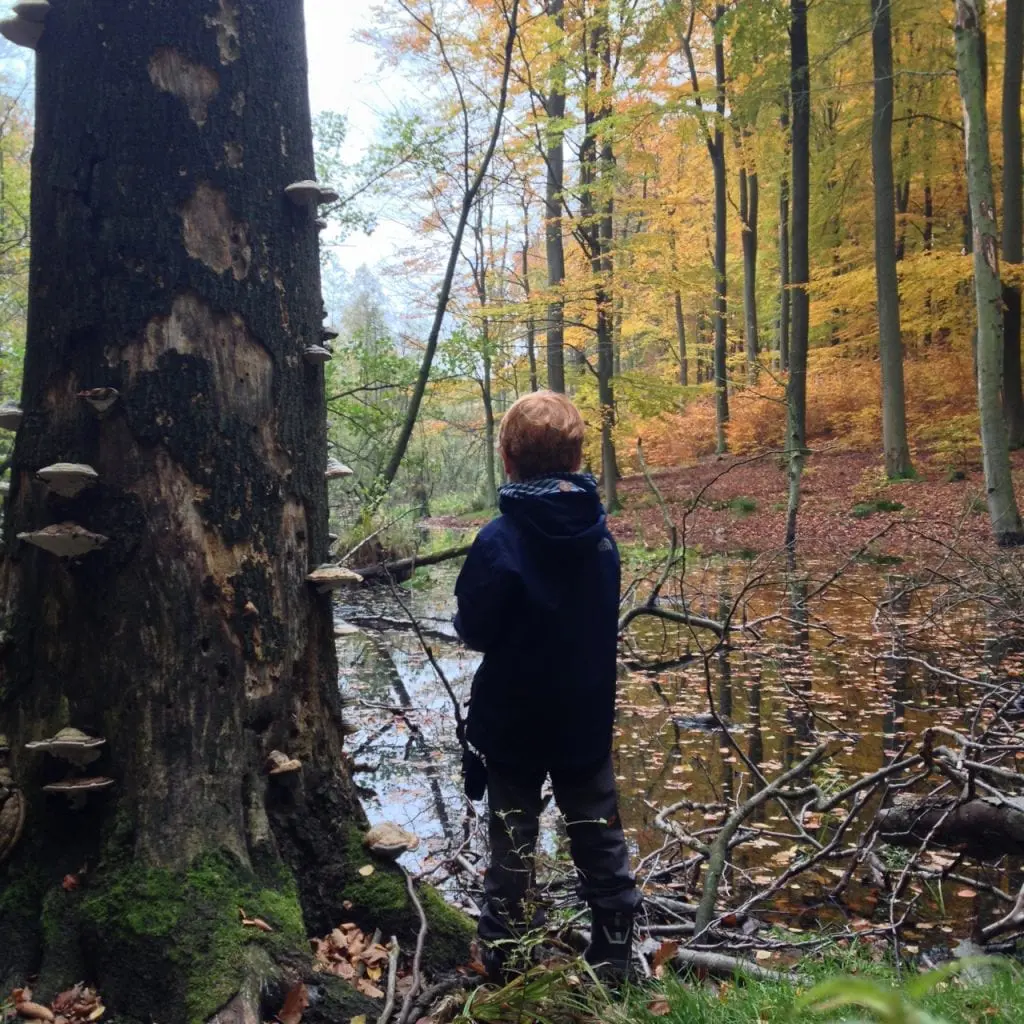Ein freundliches Kind mit roten Haaren und dunkler Jacke steht neben einem mit Pilzen bewachsenen Baum und blickt auf einen kleinen Teich. Diese bezaubernde Szene spielt sich während eines Familienausflugs in einen herbstlichen Wald ab, wo bunte Blätter Bäume und Boden bedecken.