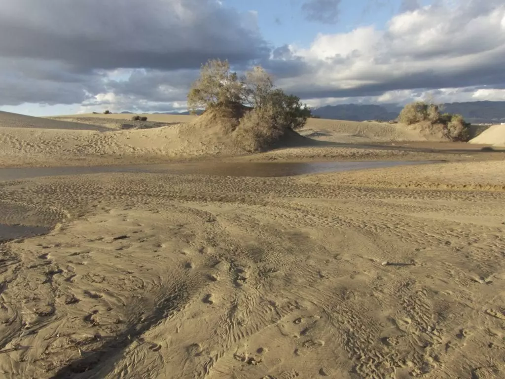 Strand-Wandern mit Kindern auf Gran Canaria in den Dünen von Maspalomas