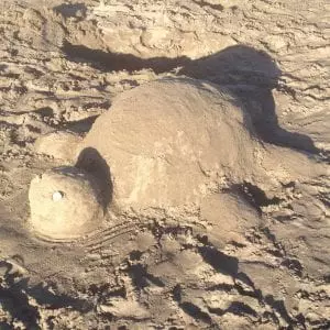 Familienreise Kanaren Strand