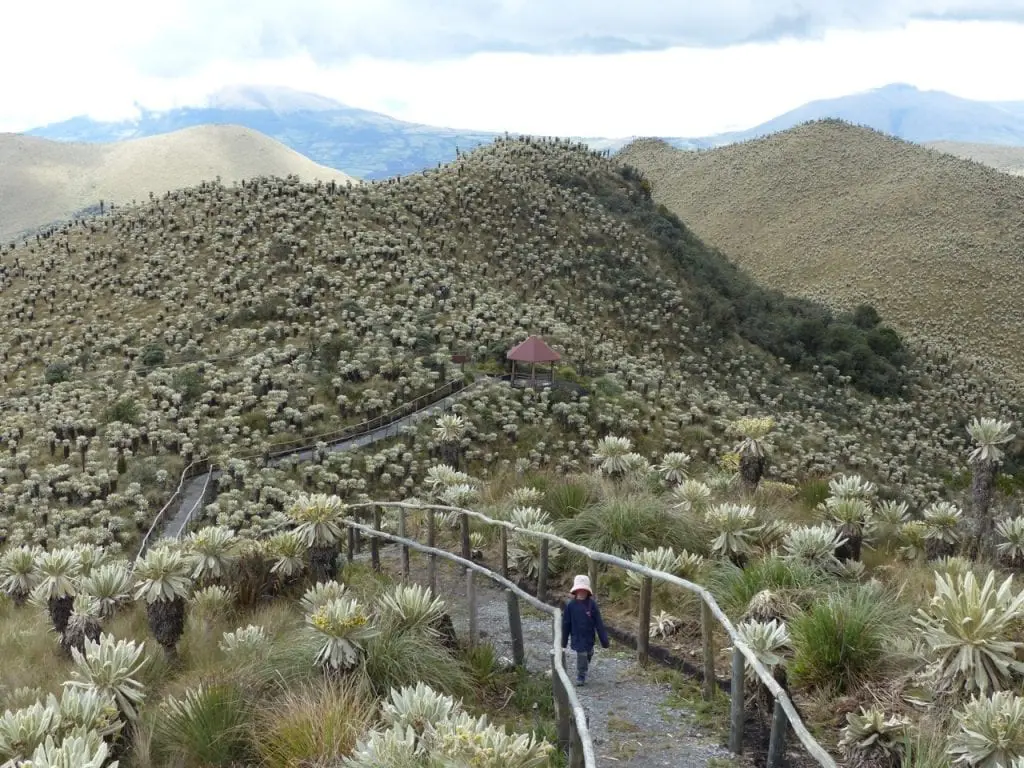 Stadt oder Land auf Reisen mit Kind alleine