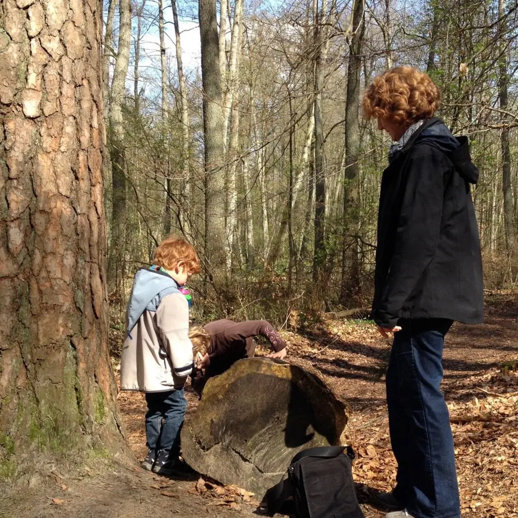 Mit Kindern Natur erkunden im Briesetal bei Berlin Naturentdeckungen im Briesetal Kinder im Wald
