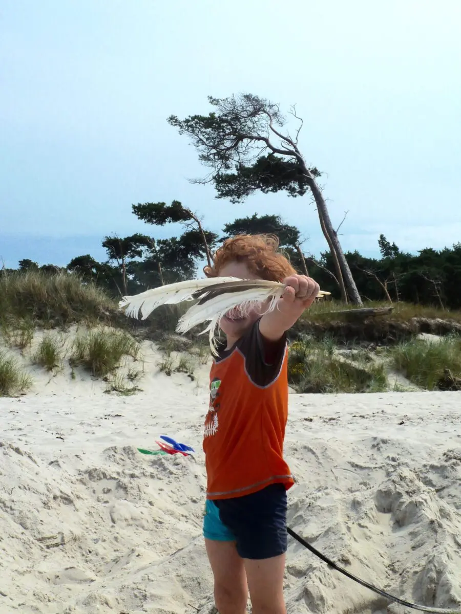 An einem Sandstrand hält ein Kind bei einem Familienausflug große weiße Federn in die Kamera, die sein Gesicht verdecken. Das Kind trägt ein orangefarbenes Hemd und Shorts. Die Szene wird von grasbewachsenen Dünen und vom Wind geformten Bäumen unter einem bewölkten Himmel eingerahmt.