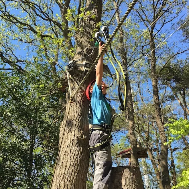Kletterwald mit Kindern - Sichern