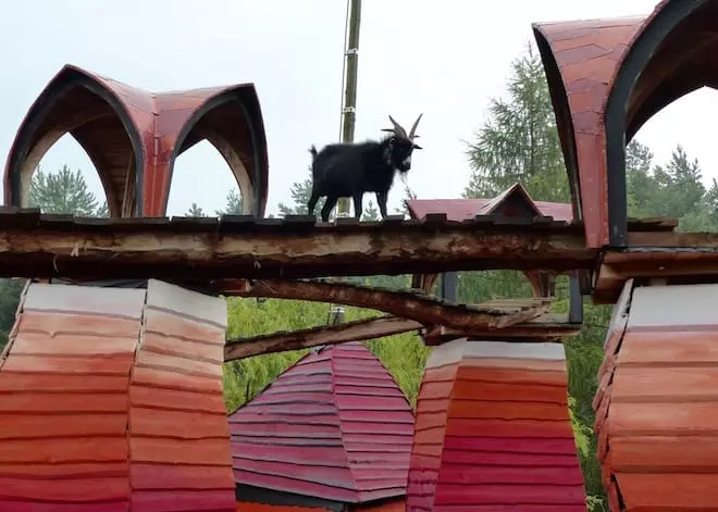 KulturinselEinsiedelKinderVierhornziege