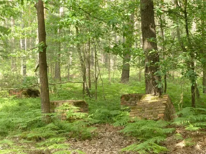 Mit Kindern auf dem Reiterhof - Braunkohle Wald