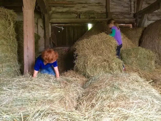 Reiterhof mit Kindern - Toben im Heu