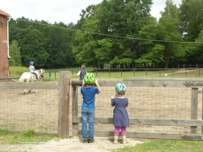 Reiterhof mit Kindern in Polen - am Gatter und an der Longe
