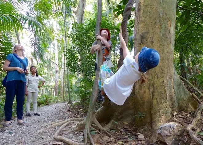 Familienreise Panama mit Kindern Gamboa Rainforest Urwald