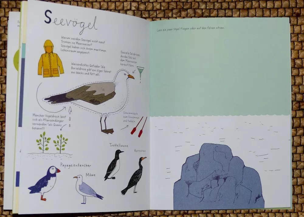 Buchtipp: Meer Malen