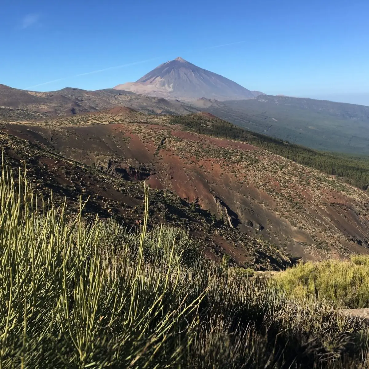 Blick auf den Teide in Teneriffa durchs Smartphone