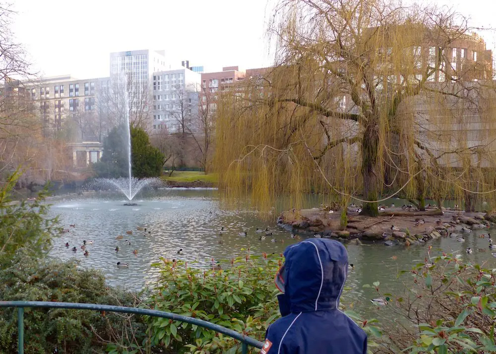 Zoo Aquarium Berlin mit Kindern: Schwanenteich
