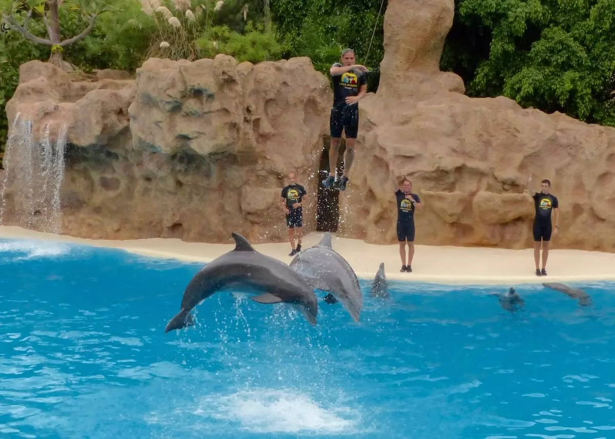 loro-parque-mit-kindern-auf-teneriffa-delfinshow