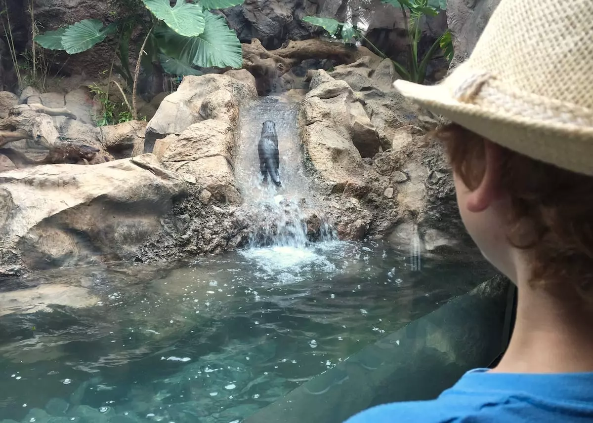 loro-parque-mit-kindern-auf-teneriffa1