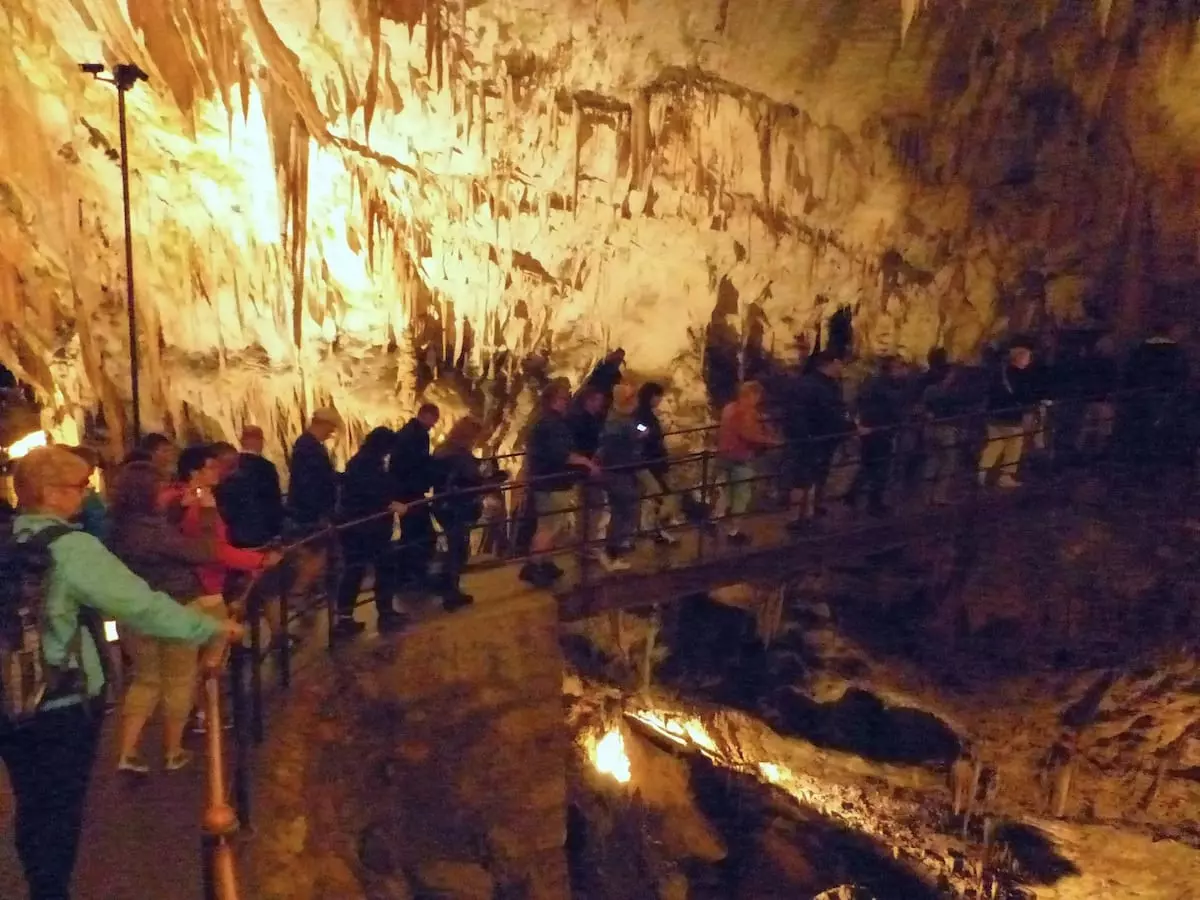 Slowenien Urlaub mit Kind Die Grotten von Postojna sind ein Highlight im Slowenien Urlaub mit Kind. Eine Reisegruppe läuft dicht gedrängt in einer weitläufigen Höhle zwischen riesigen Tropfsteinen über eine Brücke.