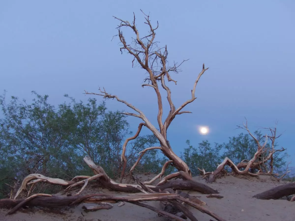 USA mit Kindern im Wohnmobil Death Valley mit Kind - Sonnenuntergang in der Wüste
