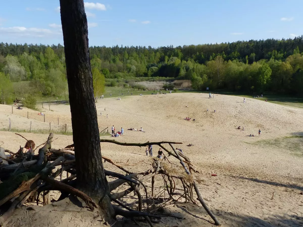 Berlin: Sanddüne Grunwald mit Kindern von oben