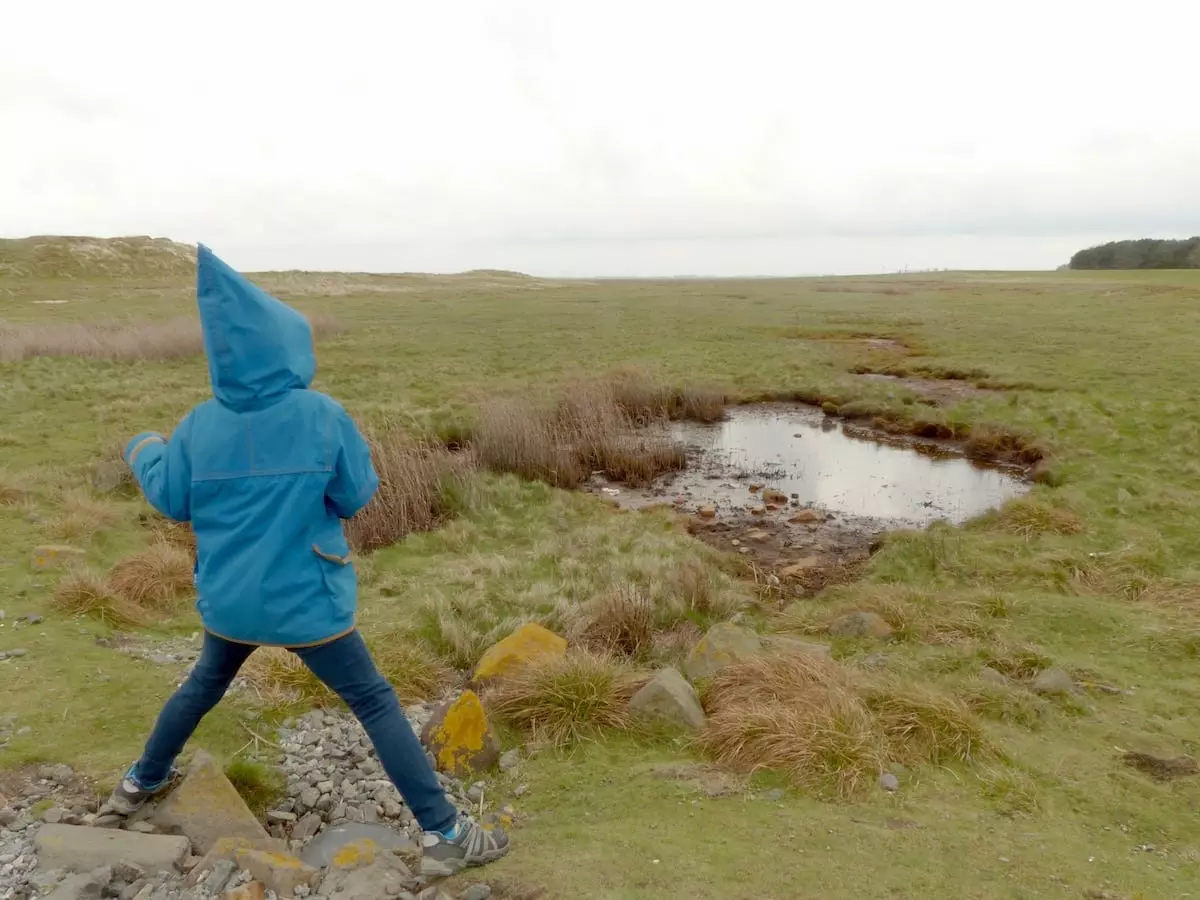 Norderney naturnah - Wandern mit Kind im Inselosten