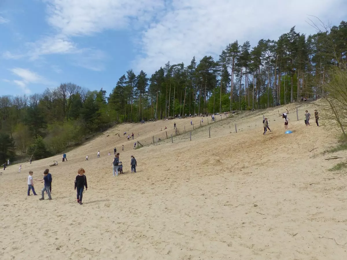 Berlin mit Kindern in den Grunwald an der Sanddüne