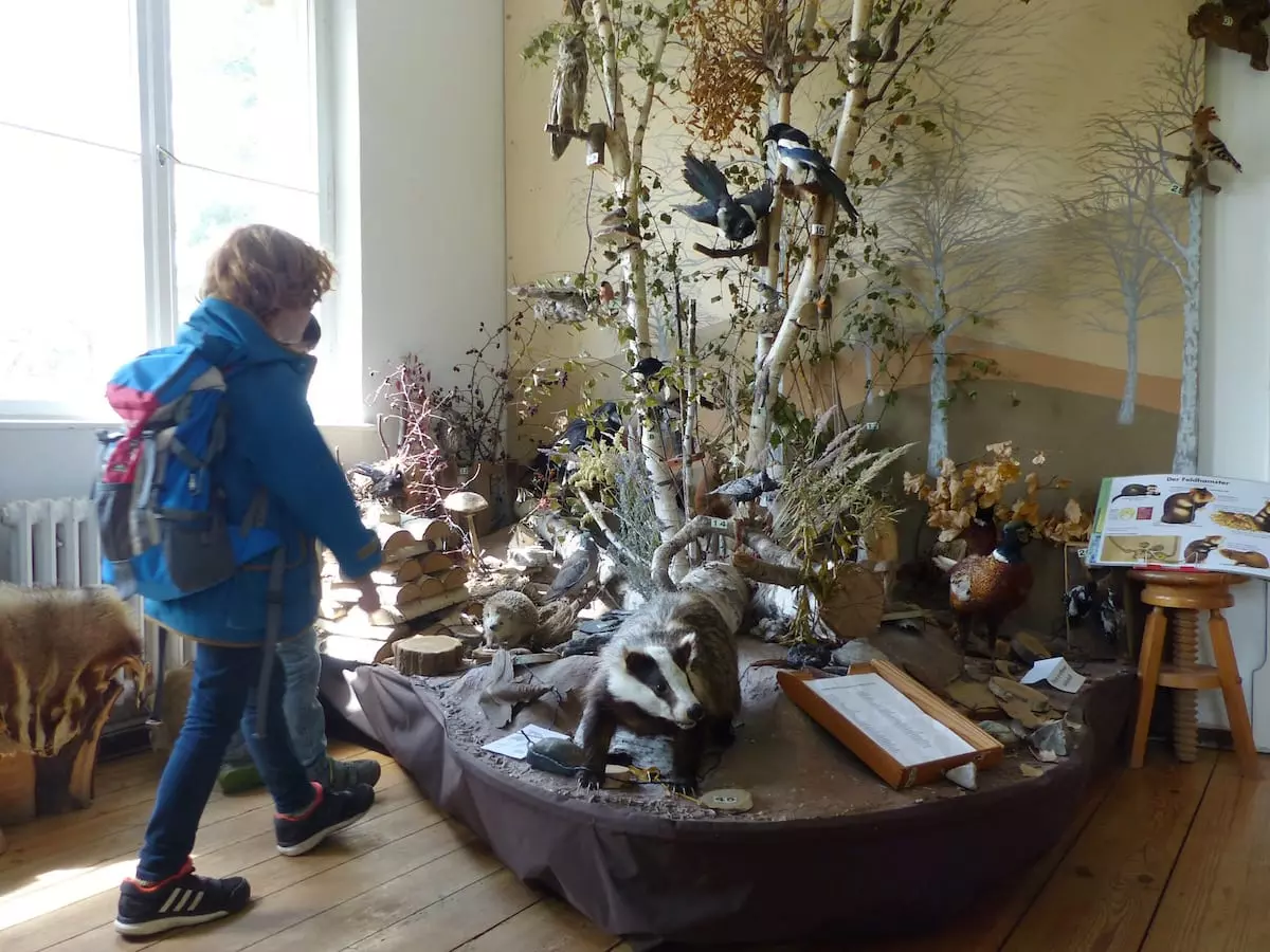 Berlin mit Kind - Waldmuseum Diarama