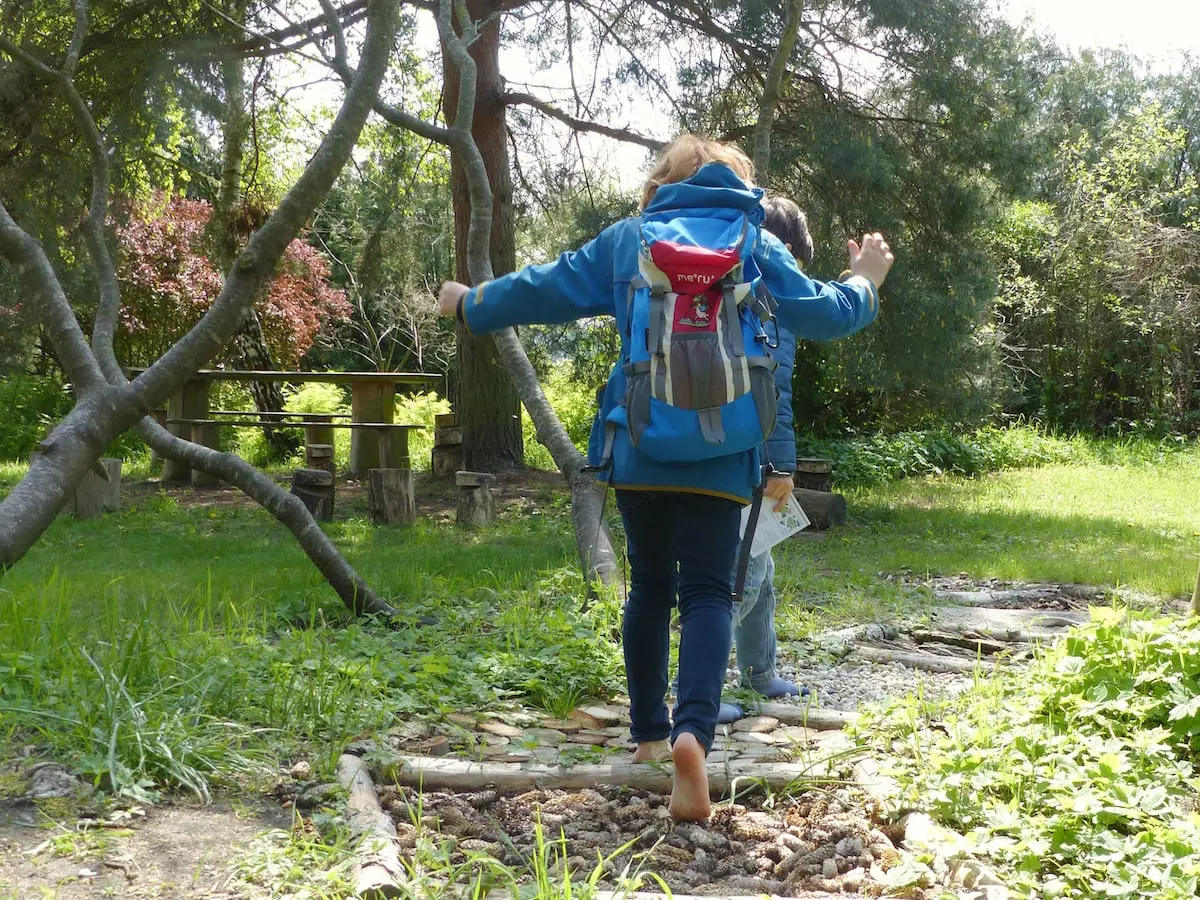 Berlin: Waldmuseum mit Kindern - Barfußpfad