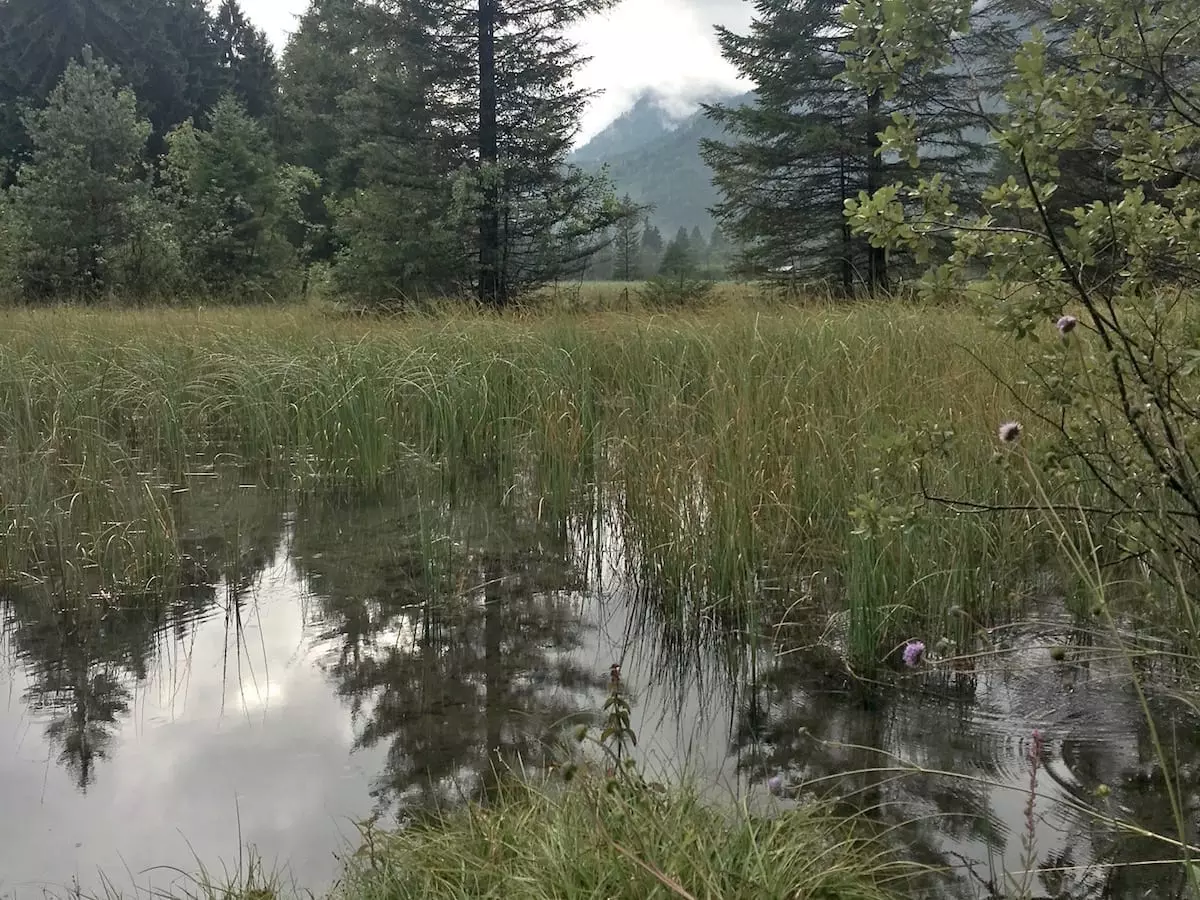 Sommerurlaub mit Kindern in den Alpen - Ursprünge bei Farchant