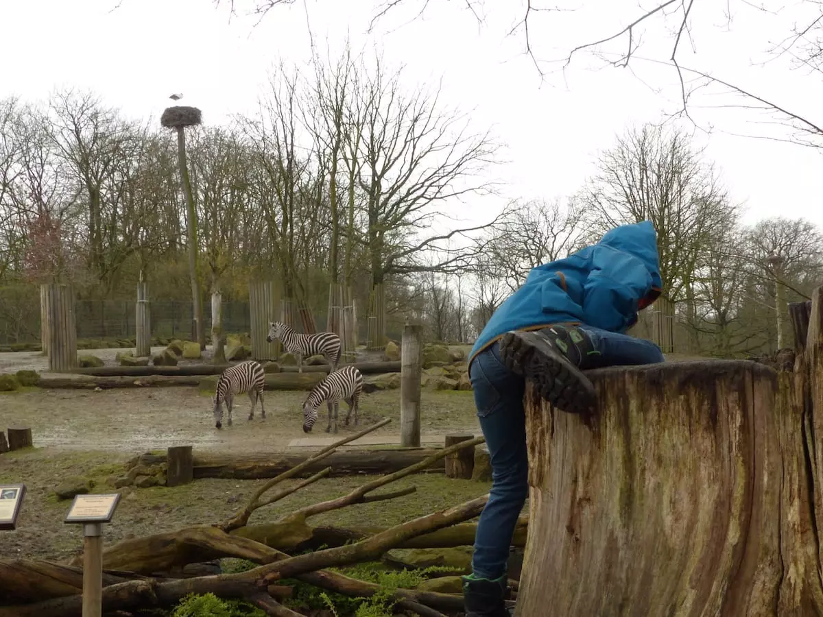 Wochenende in Münster mit Kindern - Allwetterzoo außen