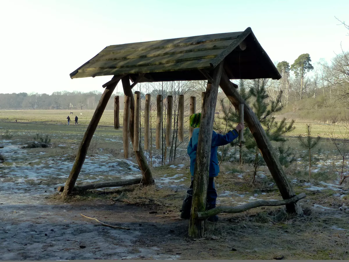 Wandern mit Kindern im Naturschutzgebiet Erpetal - Waldxylophon