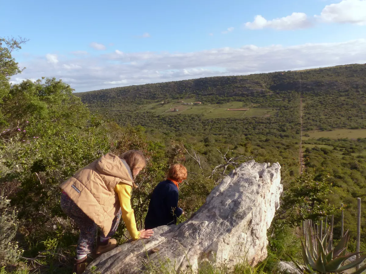 Ausblick vom Berg der Pure Nature Lodge 