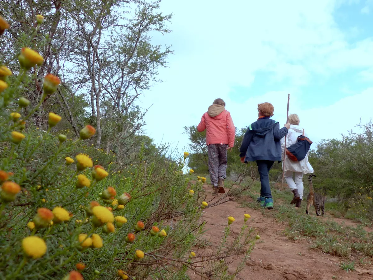 Wandern mit Katze - Safari mit Kindern im Addo Elephant Park