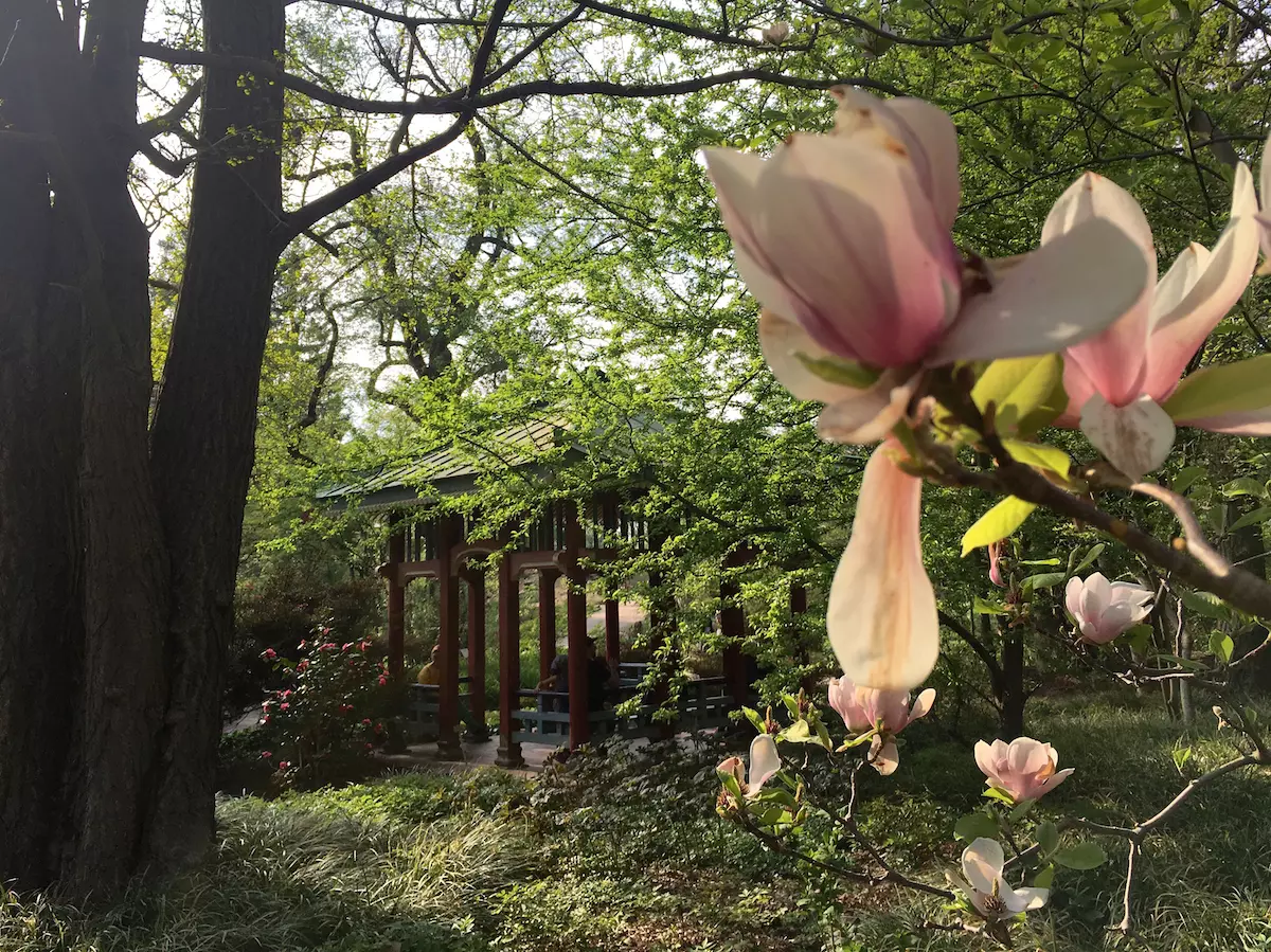 Botanischer Garten Berlin mit Kindern japanischer Pavillon