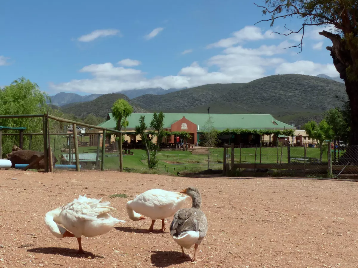 Oudtshoorn Cangoo Caves - Familienfreundliche Ferienwohnung 