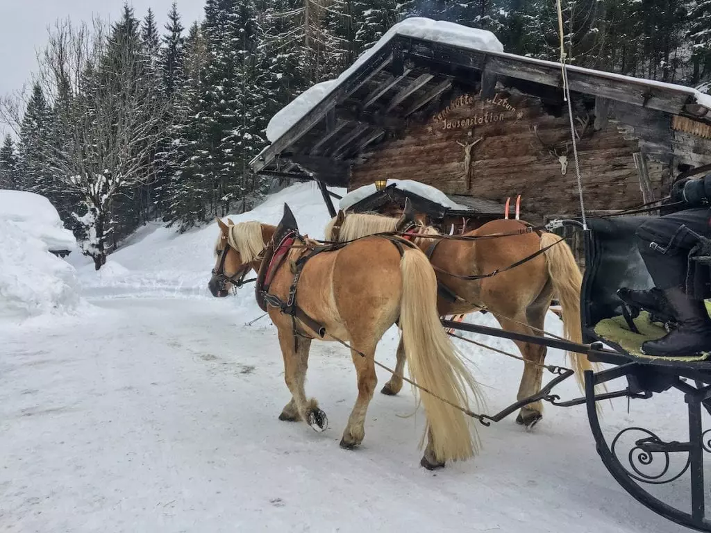 Skiurlaub am Achensee mit Kindern - Pferdekutschenfahrt