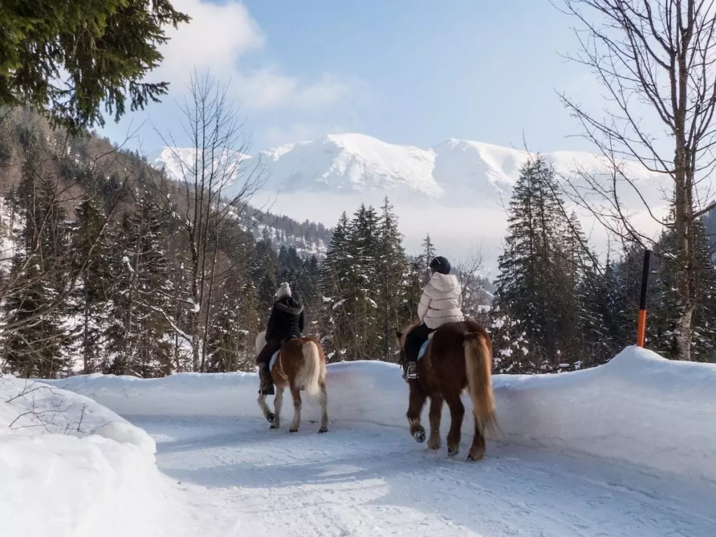 Skiurlaub am Achensee mit Kindern - Reiten