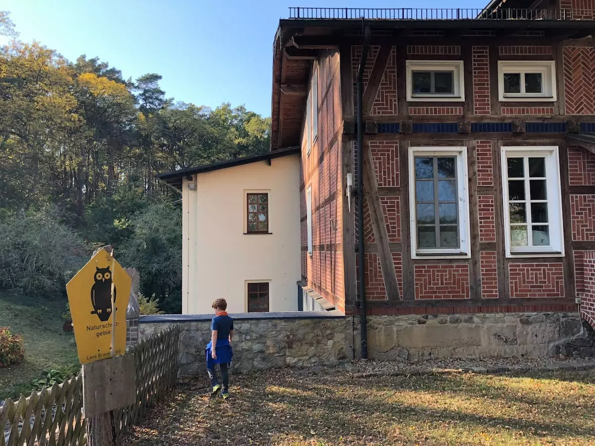 Naturlehrpfad am Tornower See 3