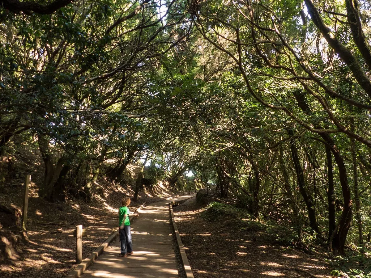 Wandern auf Teneriffa mit Kindern - Cruz del Carmen 2