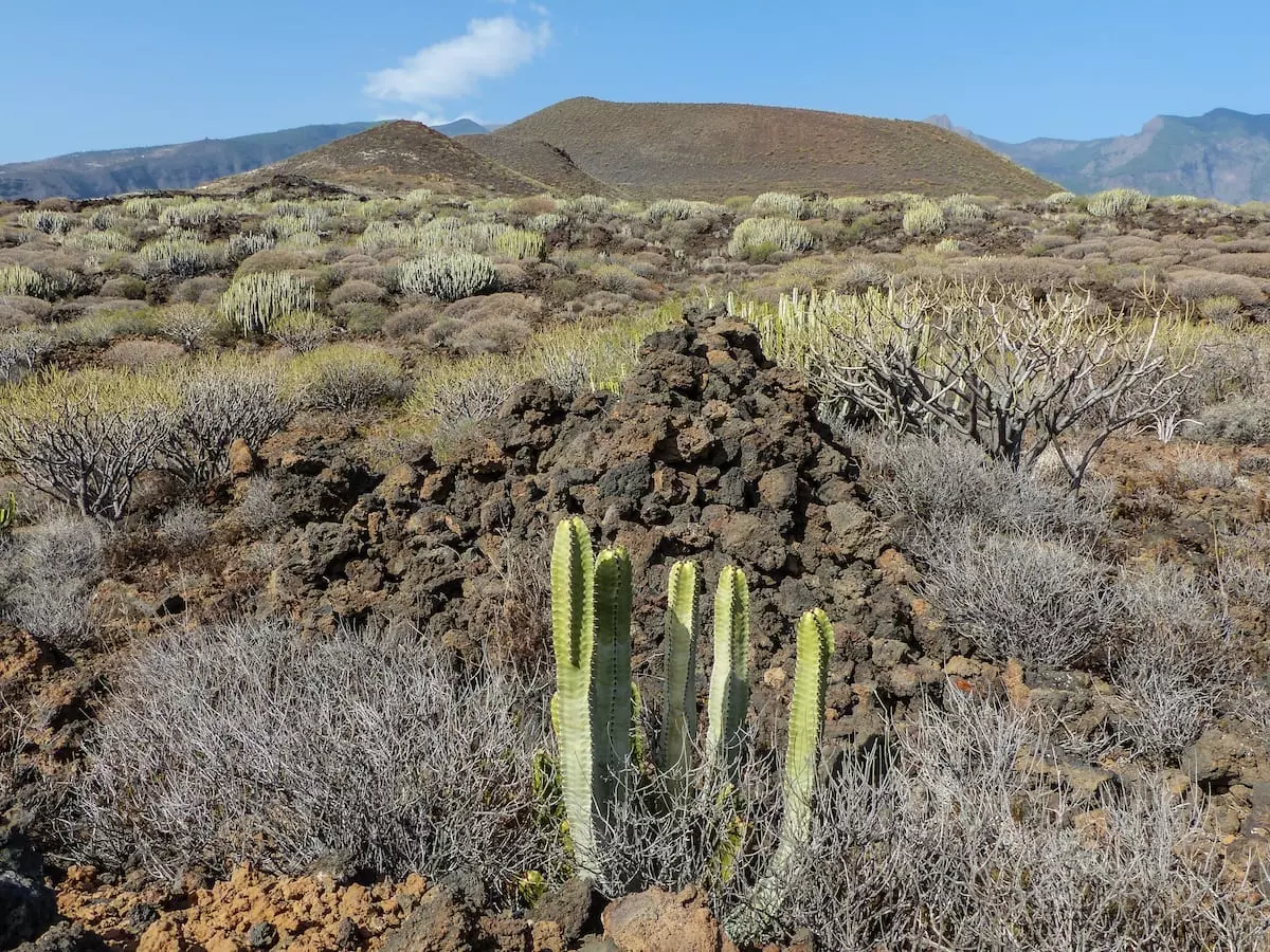 Wandern auf Teneriffa mit Kindern - Malpais de Guimar 